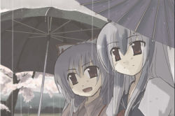Rule 34 | 2girls, cherry blossoms, female focus, fujiwara no mokou, kamishirasawa keine, multiple girls, oil-paper umbrella, rain, smile, takuzui, touhou, tree, umbrella