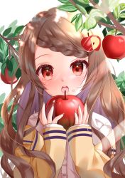 Rule 34 | 1girl, absurdres, apple, apple hair ornament, blush, braid, braided bangs, branch, brown hair, brown jacket, brown nails, commentary, fingernails, food, food-themed hair ornament, food on face, freckles, fruit, hair ornament, hands up, highres, holding, holding food, holding fruit, jacket, long sleeves, looking at viewer, nail polish, off shoulder, open clothes, open jacket, open mouth, original, red apple, red eyes, shirt, sleeves past wrists, solo, swept bangs, tsukimiya sara, upper body, white background, white shirt