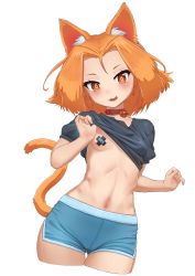Rule 34 | 1girl, :3, absurdres, animal collar, animal ear fluff, animal ears, bell, belt collar, black shirt, blue shorts, blush, breasts, carbon12th, cat ears, cat girl, cat tail, clothes lift, collar, collarbone, dolphin shorts, eyebrows, fang, female focus, forehead, hair intakes, highres, jingle bell, lifting own clothes, looking at viewer, midriff, navel, neck bell, one breast out, open mouth, orange eyes, orange hair, original, parted bangs, pasties, red collar, shirt, shirt lift, short hair, short shorts, short sleeves, shorts, simple background, small breasts, smile, solo, standing, sweat, symbol in eye, tail, tape, tape on nipples, teeth, thigh gap, thighs, transparent background