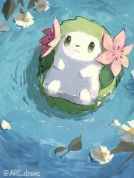 Rule 34 | afloat, arc draws, closed mouth, creatures (company), flower, from above, game freak, gen 4 pokemon, green eyes, highres, leaf, legendary pokemon, mythical pokemon, nintendo, no humans, pokemon, pokemon (creature), shaymin, shaymin (land), solo, twitter username, water, white flower