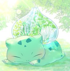 Rule 34 | artist name, backlighting, blush, bulbasaur, claws, closed mouth, creatures (company), day, closed eyes, flower, full body, game freak, gen 1 pokemon, grass, highres, ibaraki natou, lens flare, lying, nintendo, no humans, on stomach, outdoors, plant, pokemon, pokemon (creature), signature, solo, sunlight, tree, white flower
