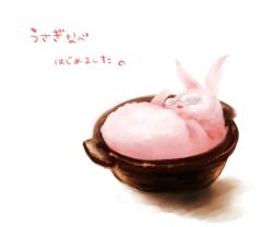 Rule 34 | 10s, animal, animal focus, animalization, bad id, bad pixiv id, barnaby brooks jr., bowl, rabbit, clothed animal, glasses, hotpot, in container, mochi mocchi, no humans, solo, tiger &amp; bunny, translated