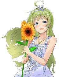 Rule 34 | 1girl, ahoge, belt bow, blue eyes, butterfly necklace, collarbone, dora galapagos, dress, eyebrows hidden by hair, flower, green hair, hairband, holding, idolmaster, idolmaster million live!, idolmaster million live! theater days, jewelry, long hair, lowres, necklace, shimabara elena, solo, standing, sundress, sunflower, sunlight, white dress