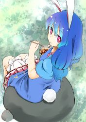 Rule 34 | 1girl, animal ears, ass, bloomers, blue dress, blue hair, colored eyelashes, dress, eating, kaisenpurin, long hair, low-tied long hair, low twintails, pink eyes, puffy short sleeves, puffy sleeves, rabbit ears, rabbit tail, seiran (touhou), short dress, short sleeves, sitting, solo, tail, touhou, twintails, underwear, white bloomers