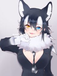 Rule 34 | 1girl, absurdres, animal ears, black hair, blazer, blue eyes, breasts, cthun n, extra ears, fang, gloves, grey background, grey wolf (kemono friends), heterochromia, highres, jacket, kemono friends, large breasts, long hair, looking at viewer, multicolored hair, necktie, scarf, simple background, solo, two-tone hair, white hair, wolf ears, wolf girl, yellow eyes