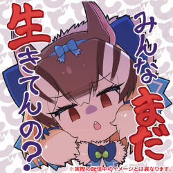 Rule 34 | 1girl, animal ears, brown eyes, brown hair, chipmunk ears, chipmunk girl, chipmunk tail, extra ears, kemono friends, kemono friends v project, kitsunetsuki itsuki, looking at viewer, microphone, ribbon, short hair, siberian chipmunk (kemono friends), simple background, solo, tail, translation request, upper body, virtual youtuber, white hair