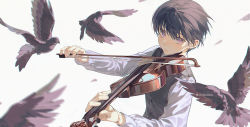 Rule 34 | 1boy, bird, black bird, black hair, black vest, blurry, blurry foreground, buttons, chinese commentary, closed mouth, commentary, eyebrows hidden by hair, hair between eyes, instrument, long sleeves, looking at viewer, male focus, music, original, playing instrument, purple eyes, shirt, short hair, simple background, solo, twitter username, upper body, vest, violin, white background, white shirt, xiaojiaju