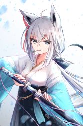 Rule 34 | 1girl, absurdres, ahoge, animal ear fluff, animal ears, black ribbon, blue eyes, blue hakama, blue skirt, braid, commentary request, cowboy shot, fox ears, fox girl, hair between eyes, hair ribbon, hakama, hakama skirt, highres, holding, holding sword, holding weapon, hololive, japanese clothes, katana, kimono, long hair, looking at viewer, low ponytail, mouth hold, official alternate costume, ribbon, sarasuty, sheath, shirakami fubuki, shirakami fubuki (new year), side braid, silver hair, skirt, solo, stalk in mouth, sword, unsheathing, virtual youtuber, weapon, wide sleeves