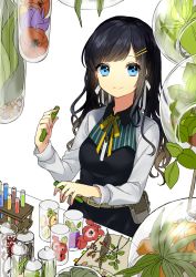 Rule 34 | 1girl, absurdres, apron, belt, black apron, black hair, blue eyes, braid, breasts, closed mouth, cup, flower, hair ornament, hairclip, highres, leaf, long sleeves, looking at viewer, medium breasts, original, plant, ribbon, shirt, simple background, smile, sogawa66, solo, swept bangs, test tube, test tube rack, wavy hair, white background, white shirt, yellow ribbon