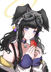 Rule 34 | 1girl, absurdres, belt collar, black hair, blue archive, blunt bangs, character name, coat, collar, commentary request, dog girl, dog tags, doggystyle, droopy ears, eating, food, fruit, goggles, goggles on head, hair bobbles, hair ornament, halo, hibiki (blue archive), highres, holding, holding food, holding fruit, holding watermelon, long hair, long sleeves, low twintails, mitsumoto amata, open clothes, open coat, parted bangs, purple eyes, sex from behind, sidelocks, simple background, sleeveless, solo, twintails, watermelon, watermelon slice, wavy hair, white background, white coat