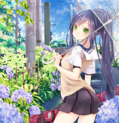 Rule 34 | 1girl, 218, arrow (symbol), black hair, blush, flower, green eyes, green hair, holding, hydrangea, leaf, long hair, matching hair/eyes, original, ponytail, puddle, school uniform, skirt, solo, transparent, transparent umbrella, umbrella, water