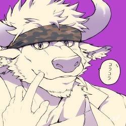 Rule 34 | 1boy, animal ears, bara, camouflage, camouflage headwear, chest hair, close-up, cow ears, cow horns, facial hair, furry, furry male, goatee, hand on another&#039;s face, headband, highres, horns, lab coat, large pectorals, looking at viewer, male focus, minotaur, multiple monochrome, muscular, pectorals, purple background, purple eyes, purple horns, shennong (housamo), short hair, solo focus, speech bubble, spot color, tank top, tokyo houkago summoners, translation request, upper body, white hair, yanai inaya