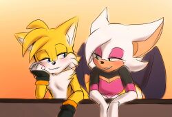 Rule 34 | 1boy, 1girl, animal ears, artist request, bat (animal), bat girl, blue eyes, blush, breasts, cleavage, couple, fox, fox boy, fox ears, furry, furry female, gloves, hetero, highres, long hair, looking at another, medium breasts, rouge the bat, seductive smile, sega, simple background, smile, sonic (series), source request, sunset, tails (sonic), wings
