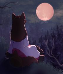 Rule 34 | 1girl, absurdres, animal ears, brown hair, cloud, dress, dungeon toaster, forest, frilled dress, frills, from behind, grass, highres, imaizumi kagerou, long dress, moon, nature, night, night sky, sitting, sky, star (sky), starry sky, tail, touhou, tree, two-tone dress, wolf ears, wolf tail