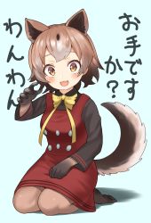 Rule 34 | 10s, 1girl, :3, animal ears, bad id, bad twitter id, black hair, blush, bow, bowtie, brown hair, buttons, choir (artist), collared shirt, commentary request, dog ears, dog tail, dress, elbow gloves, fang, full body, gloves, highres, kemono friends, long sleeves, multicolored hair, neck ribbon, new guinea highland wild dog (kemono friends), no shoes, open mouth, pantyhose, ribbon, seiza, shirt, short hair, sitting, solo, t-shirt, tail, translation request