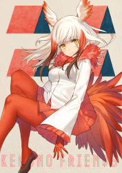 Rule 34 | 10s, 1girl, beige background, bird tail, blunt bangs, blush, breasts, brown footwear, buttons, commentary, copyright name, dot nose, drawstring, english text, eyelashes, feathered wings, feathers, floating, frilled sleeves, frills, fur collar, gloves, gradient hair, head wings, highres, japanese crested ibis (kemono friends), kemono friends, kippu, large breasts, long hair, long sleeves, looking at viewer, mary janes, multicolored hair, pantyhose, pleated skirt, red gloves, red hair, red pantyhose, red skirt, romaji text, shirt, shoes, sidelocks, skirt, smile, solo, streaked hair, tail, two-tone hair, white hair, white shirt, wide sleeves, wings, yellow eyes