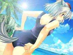 Rule 34 | 1girl, adjusting clothes, adjusting swimsuit, animal ears, beach, blue eyes, blush, cloud, day, female focus, from behind, hat, inubashiri momiji, lens flare, looking back, maki (seventh heaven maxion), ocean, one-piece swimsuit, outdoors, palm tree, school swimsuit, short hair, silver hair, sky, solo, sun, swimsuit, tail, tokin hat, touhou, tree, wolf ears, wolf tail