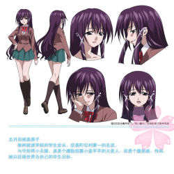 Rule 34 | 00s, 1girl, character sheet, long hair, purple hair, satsukitane mikako, school uniform, sora no otoshimono