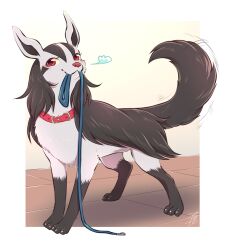 Rule 34 | black fur, black hair, blush, claws, collar, creature, creatures (company), furry, game freak, gen 3 pokemon, grey fur, hyena, leash, mightyena, mouth hold, negoya, nintendo, no humans, pokemon, pokemon (creature), red collar, red eyes, signature, tail, tail wagging, white background