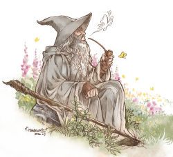 Rule 34 | beard, blue eyes, bug, butterfly, dated, facial hair, from side, gandalf, grass, grey headwear, grey robe, hat, insect, kazuki-mendou, long beard, old, old man, robe, signature, sitting, smoking, smoking pipe, staff, the lord of the rings, tolkien&#039;s legendarium, tolkien's legendarium