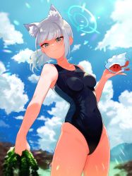 Rule 34 | 1girl, animal ear fluff, animal ears, black one-piece swimsuit, blue archive, blue eyes, blue sky, breasts, cloud, commentary request, competition swimsuit, conch, covered navel, cowboy shot, cross hair ornament, day, extra ears, grey hair, hair ornament, halo, highres, looking at viewer, low ponytail, medium breasts, medium hair, mountain, multicolored clothes, multicolored swimsuit, one-piece swimsuit, outdoors, seaweed, shiroko (blue archive), shiroko (swimsuit) (blue archive), sky, standing, swimsuit, usadadx