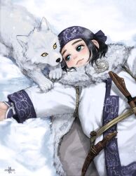 Rule 34 | 1girl, affectionate, ainu, ainu clothes, animal, asirpa, blue eyes, cloak, commentary, from above, fur cloak, golden kamuy, headband, knife, long hair, looking at another, lying, mitsuya, on back, purple headband, retar, sidelocks, smile, white cloak, wolf, yellow eyes
