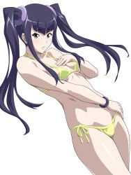 Rule 34 | 00s, 1girl, artist request, bikini, black hair, breasts, female focus, hair ornament, ikkitousen, long hair, looking at viewer, saji genpou (true), shiny skin, small breasts, swimsuit, twintails, yellow eyes