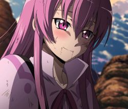 Rule 34 | 10s, 1girl, akame ga kill!, blush, highres, mine (akame ga kill!), pink eyes, solo, standing, stitched, third-party edit