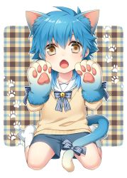 Rule 34 | 10s, 1boy, aged down, animal ears, animal hands, bell, blue hair, brown eyes, cat boy, cat ears, cat paws, cat tail, chestnut mouth, child, dramatical murder, fang, gloves, highres, male focus, mise yuzuki, open mouth, paw gloves, paw print, plaid, plaid background, sailor collar, seragaki aoba, shorts, sitting, tail, wariza