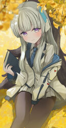 Rule 34 | 1girl, absurdres, autumn, autumn leaves, black pantyhose, blue archive, blue necktie, blush, book, closed mouth, collared shirt, feet out of frame, ginkgo leaf, grey hair, guree (haiiro), highres, holding, holding book, jacket, leaf, long hair, long sleeves, looking at viewer, mechanical arms, necktie, noa (blue archive), pantyhose, purple eyes, shirt, solo, white jacket, white shirt