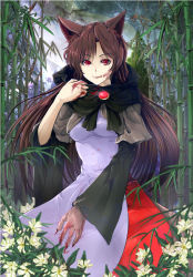 Rule 34 | 1girl, animal ears, bad id, bad pixiv id, bamboo, bamboo forest, blood, blood on face, blood on clothes, blood on hands, brooch, brown hair, cibo (killy), dress, fingernails, flower, forest, full moon, imaizumi kagerou, jewelry, long hair, long sleeves, looking at viewer, moon, nature, red eyes, sharp fingernails, shirt, skirt, smile, solo, tail, touhou, very long hair, wide sleeves, wolf ears, wolf tail
