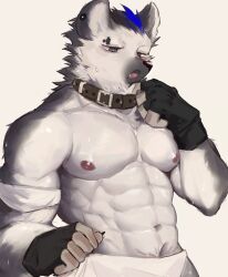 Rule 34 | 1boy, abs, animal collar, arknights, bara, black gloves, collar, commentary, eyebrow piercing, fang, fingerless gloves, furry, furry male, gloves, grey eyes, highres, hyena boy, looking ahead, male focus, male underwear, multicolored hair, muscular, muscular male, navel, nipples, open mouth, p7ywirzyw8lesuc, pectorals, piercing, pubic hair, pubic hair peek, solo, spot (arknights), streaked hair, sweatdrop, topless male, underwear, white background, white male underwear