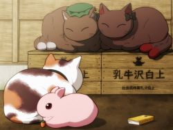 Rule 34 | ^ ^, animal, animal ear fluff, animalization, black bow, bow, carrot necklace, cat, cat loaf, chen, chen (cat), closed eyes, commentary request, goutokuji mike, goutokuji mike (cat), green headwear, hat, inaba tewi, inaba tewi (bunny), jewelry, kaenbyou rin, kaenbyou rin (cat), mob cap, multiple tails, necklace, no humans, rabbit, red eyes, shirosato, tail, touhou, translation request, two tails