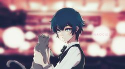 Rule 34 | 1girl, absurdres, animal, black bow, black bowtie, black hair, black vest, blurry, blurry background, bow, bowtie, cat, grey eyes, hair between eyes, highres, holding, holding animal, holding cat, long sleeves, naociel, parted lips, persona, persona 4, shirogane naoto, shirt, short hair, solo, vest, white shirt