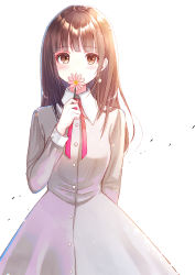 Rule 34 | 1girl, blunt bangs, blush, brown eyes, brown hair, collared dress, commentary request, covered mouth, dress, flower, flower over mouth, grey dress, hand up, highres, holding, holding flower, kashiwaba en, long hair, long sleeves, looking at viewer, original, pink flower, simple background, solo, white background
