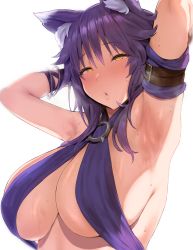 Rule 34 | 1girl, absurdres, animal ear fluff, animal ears, arm strap, armpits, arms behind head, arms up, bikini, blush, bracelet, breasts, criss-cross halter, halterneck, highres, jewelry, kurowa, large breasts, looking at viewer, makoto (princess connect!), makoto (summer) (princess connect!), medium hair, open mouth, princess connect!, purple bikini, purple hair, sidelocks, solo, swimsuit, wet, white background, wolf ears, wolf girl, yellow eyes