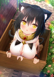 Rule 34 | 1girl, animal ear fluff, animal ears, bare shoulders, black hair, blurry, blurry background, blush, boots, box, breasts, brick wall, brown footwear, brown gloves, cat ears, cat girl, cat tail, cleavage, cleavage cutout, clothing cutout, commentary request, copyright request, day, depth of field, fingerless gloves, flower, fur-trimmed gloves, fur trim, gloves, hair between eyes, in box, in container, large breasts, official art, outdoors, parted lips, pleated skirt, red flower, shirt, shoe soles, skirt, sleeveless, sleeveless shirt, solo, tail, tears, white flower, white shirt, white skirt, yano mitsuki (nanairo), yellow eyes