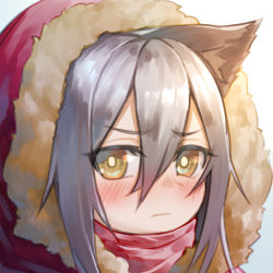 Rule 34 | 1girl, animal ear fluff, animal ears, arknights, blush, brown eyes, chi yei, closed mouth, commentary request, fur-trimmed hood, fur trim, grey hair, hair between eyes, hood, hood up, looking at viewer, projekt red (arknights), red scarf, scarf, solo, wolf ears