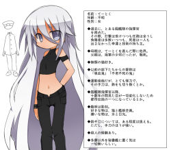Rule 34 | 10s, 1girl, bad id, bad pixiv id, casual, character profile, chibi, denim, female admiral (kancolle), grey eyes, hair between eyes, jeans, kantai collection, kisaragi kaya, long hair, looking at viewer, midriff, navel, pants, silver hair, simple background, solo, text focus, translation request, very long hair, wall of text, white background