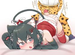 Rule 34 | 2girls, animal ears, animal hands, black eyes, black hair, blush, cat ears, cat tail, chis (js60216), clothing aside, dress, drooling, elbow gloves, futanari, gloves, gradient background, hair ornament, highres, imminent penetration, kaban (kemono friends), kemono friends, multiple girls, open mouth, panties, panties aside, paw gloves, paw shoes, serval (kemono friends), serval print, tail, thighhighs, top-down bottom-up, underwear, unusual pupils