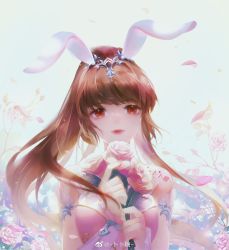 Rule 34 | 1girl, absurdres, animal ears, bare shoulders, bo yikou da yuanzi, brown hair, closed mouth, dark, douluo dalu, dress, flower, highres, holding, holding flower, light particles, long hair, looking at viewer, pink dress, ponytail, rabbit ears, solo, upper body, white background, xiao wu (douluo dalu)