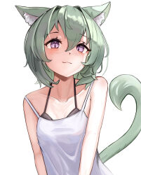 Rule 34 | 1girl, animal ear fluff, animal ears, black bra, bra, breasts, camisole, cat ears, cat girl, cat tail, fosqie, green hair, highres, light smile, looking at viewer, original, purple eyes, short hair, simple background, small breasts, tail, underwear, white background, white camisole