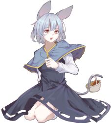 Rule 34 | 1girl, animal ears, basket, blue capelet, brown eyes, capelet, dress, full body, grey dress, grey hair, jewelry, kanaria (bocmn), kneeling, long sleeves, looking at viewer, mouse ears, mouse girl, mouse tail, nazrin, open mouth, pendant, short hair, simple background, socks, solo, tail, touhou, white background, white socks