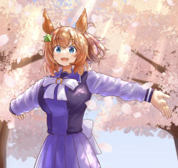 Rule 34 | 1girl, absurdres, animal ears, back bow, blue eyes, blue skirt, blush, blush stickers, bow, cherry blossoms, commentary, commentary request, cowboy shot, ear bow, hair ornament, highres, horse ears, horse girl, horse tail, light brown hair, long hair, long sleeves, looking at viewer, open mouth, outdoors, outstretched arms, pleated skirt, pout, purple shirt, sailor collar, school uniform, shirt, skirt, smile, solo, spread arms, star (symbol), star hair ornament, taiki shuttle (umamusume), tail, tracen school uniform, umamusume, white bow, yamada (c57hikaru)