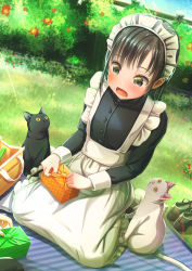 Rule 34 | 1girl, aiuabo, animal, apron, bento, black cat, black eyes, black hair, cat, day, grass, highres, long hair, maid, maid apron, maid headdress, open mouth, original, out of frame, outdoors, picnic, shoes, unworn shoes, sitting, wariza, white cat