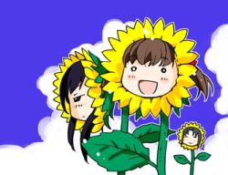 Rule 34 | 00s, flower, fukuzawa yumi, lowres, maria-sama ga miteru, mizuno youko, ogasawara sachiko, sunflower