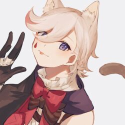 Rule 34 | 1boy, animal ears, black gloves, bow, bowtie, cat boy, cat ears, cat tail, genshin impact, gloves, highres, lyney (genshin impact), male focus, nekorin chu, purple eyes, red bow, red bowtie, short hair, simple background, solo, tail, teardrop facial mark, teardrop tattoo, tongue, tongue out, upper body, white background