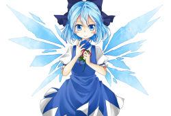 Rule 34 | 1girl, bad id, bad pixiv id, blue eyes, blue flower, blue hair, blue rose, blush stickers, bow, cirno, flower, hair bow, highres, ice, ice wings, matching hair/eyes, platinum (o0baijin0o), puffy sleeves, rose, short sleeves, slit pupils, smile, solo, touhou, wings