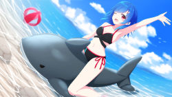 Rule 34 | 1girl, ;d, aoi thomas, arm up, armpits, ball, bare arms, bare shoulders, beachball, bikini, black bikini, blue hair, blue sky, breasts, cleavage, cloud, cloudy sky, commentary request, copyright request, day, dutch angle, feet out of frame, inflatable shark, inflatable toy, looking at viewer, medium breasts, one eye closed, open mouth, outdoors, red eyes, shallow water, side-tie bikini bottom, sky, smile, solo, swimsuit, transparent, virtual youtuber, water