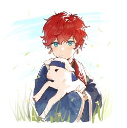 Rule 34 | 1boy, amagi hiiro, animal, blue eyes, blue robe, child, clothed animal, day, earrings, ensemble stars!, etiv, falling leaves, flower, grass, highres, holding, holding animal, horns, jewelry, leaf, long sleeves, looking at viewer, male focus, petals, red hair, robe, sheep horns, short hair, wind, yellow flower